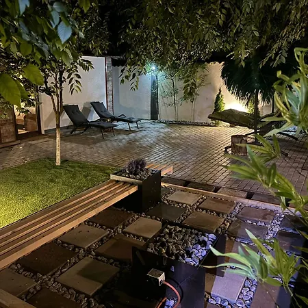 Hugo's House