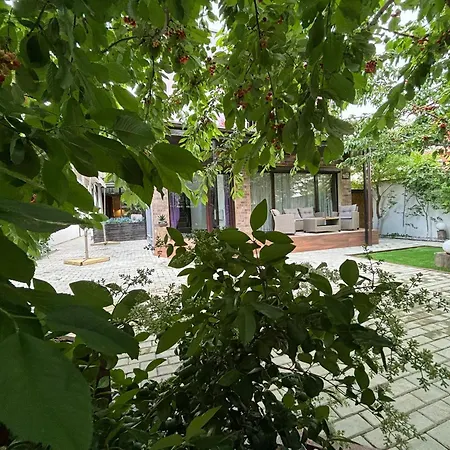 Hugo's House Villa Costinesti