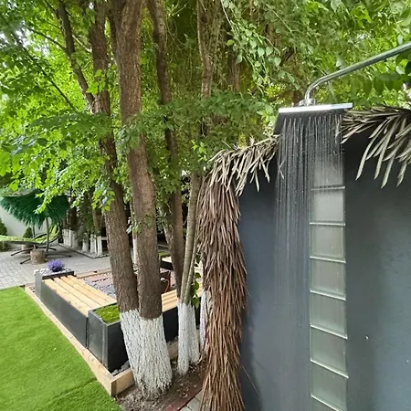 Hugo's House
